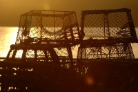 basket2398.jpg