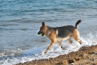 bracken_0031.JPG