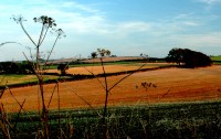 Filename=field.jpg
Filesize=312KB
Dimensions=1213x768
Date added=04.Sep 2005 field.jpg