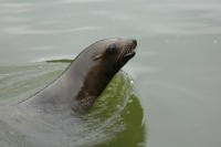 Filename=sea.jpg
Filesize=91KB
Dimensions=1024x681
Date added=22.Jul 2005 sea.jpg