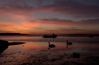 sunset2520.jpg